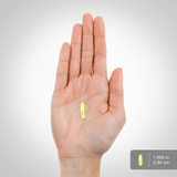 PIPING ROCK Borage Oil 120 Capsule Softgels, 1000 mg