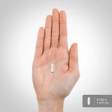 PIPING ROCK Wild Yam Root, 1200 mg, 100 Quick Release Capsules