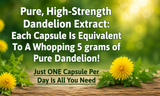 STERLING HEALTH High Strength Dandelion Extract 5000mg Vegan Capsules | Various Pack Sizes