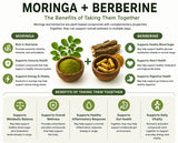 Moringa + Berberine Capsules Weight Loss Slimming Metabolism UK